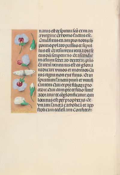 女王イザベラカトリック、スペイン女王の時間：フォル。 91v、c。 1500。 作： Master of the First Prayerbook of Maximillian