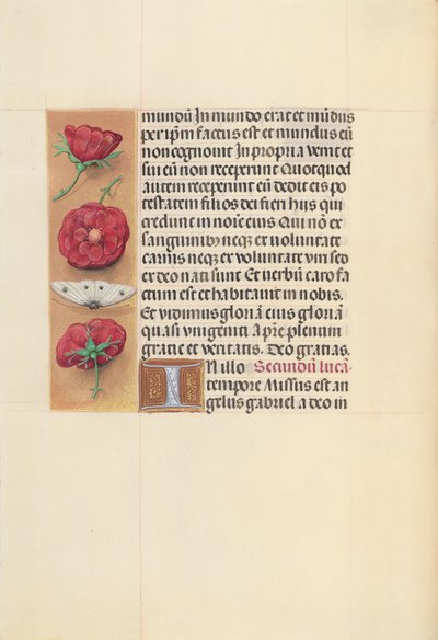 スペイン女王イザベラの時間：  フォル93v 作： Master of the First Prayerbook of Maximillian