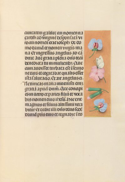 女王イザベラカトリック、スペイン女王の時間：フォル。 94r、c。 1500。 作： Master of the First Prayerbook of Maximillian