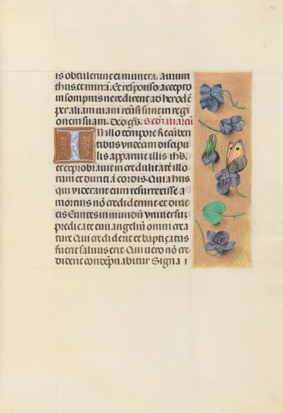 女王イザベラカトリック、スペイン女王の時間：フォル。 96r、c。 1500。 作： Master of the First Prayerbook of Maximillian