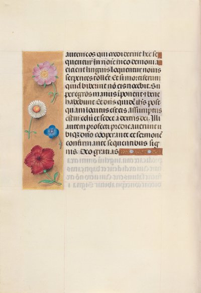 女王イザベラカトリック、スペイン女王の時間：フォル。 96v、c。 1500。 作： Master of the First Prayerbook of Maximillian