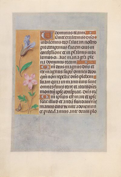 スペイン女王イザベラ女王の時間：フォル。 98v、c。 1500。 作： Master of the First Prayerbook of Maximillian