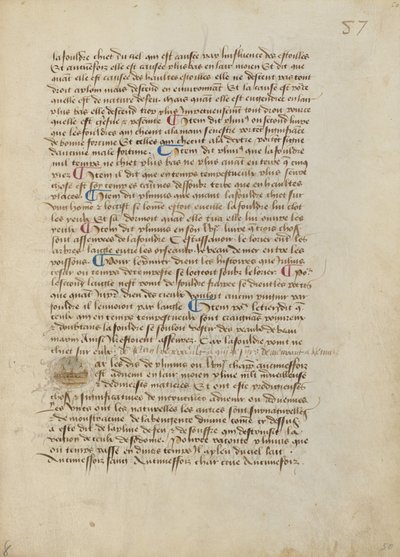 歴史に残るイニシャルP：ヒキガエル、アマガエル、害虫の豪雨 作： Master of the Geneva Boccaccio