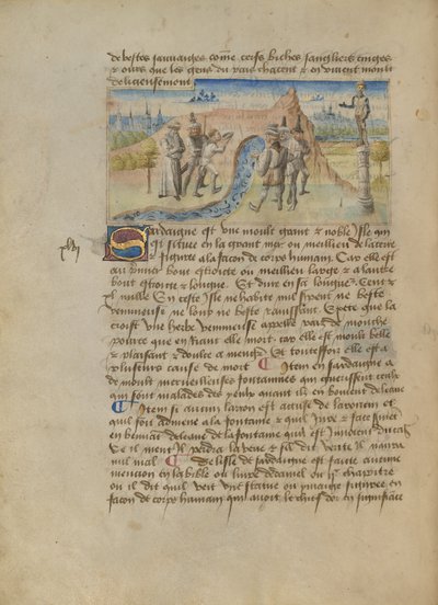 サルデーニャ 作： Master of the Geneva Boccaccio