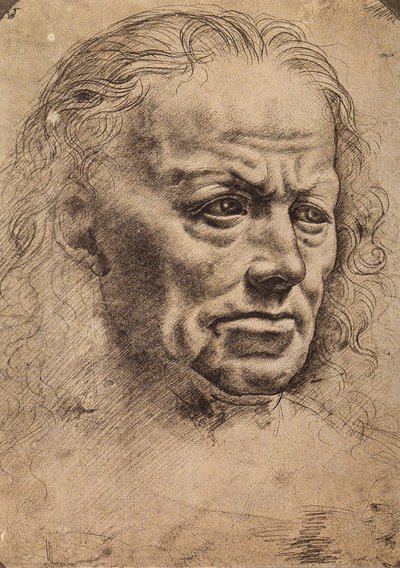 男の頭 作： Master of the Pala Sforzesca