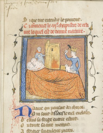 Guillaume de Lorris と Jean de Meun による Roman de la Rose の写本の縮小版、1365 年頃 作： Master of the Rose novels