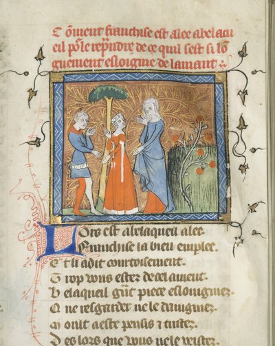 Guillaume de Lorris と Jean de Meun による Roman de la Rose の写本の縮小版、1365 年頃 作： Master of the Rose novels