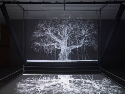 Albion, 2017（プロジェクター、メディアプレーヤー、足場装置、透明フィルム、木材、ペイント、鏡、ストレッチアクセサリー） 作： マット・コリショー