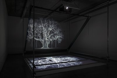 Albion, 2017（プロジェクター、メディアプレーヤー、足場装置、透明フィルム、木材、ペイント、鏡、ストレッチアクセサリー） 作： マット・コリショー
