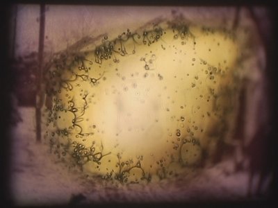 Barbarossa, 2002 (ビデオプロジェクターと模擬スライドプロジェクター) 作： Mat Collishaw