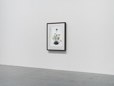 Columbine, 2018（木製フレーム、ボーダー、液晶スクリーン、扇風機、メディアプレーヤー） 作： マット・コリショー