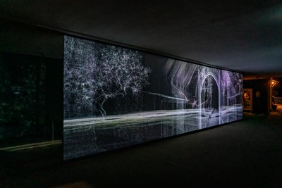 エコロケーション、2021年（ポリプロピレン・メッシュに3チャンネルのビデオ投影） 作： Mat Collishaw