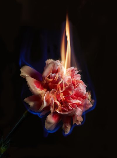 エフィジー、2013年（Cタイプ写真） 作： Mat Collishaw