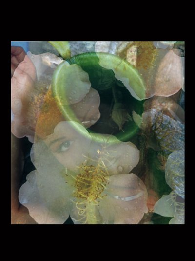フレッシャーズ2 作： Mat Collishaw