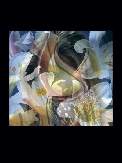 フレッシャーズ3 作： Mat Collishaw