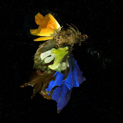殺虫剤 15 2009年（Cタイプ写真） 作： マット・コリショー