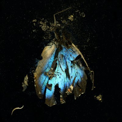 殺虫剤 2009年16日（Cタイプ写真） 作： Mat Collishaw