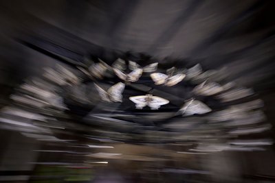 マジックランタン、2010年（スチールフレーム、パンチングシートアルミ、発泡樹脂、LEDライト、モーター） 作： Mat Collishaw