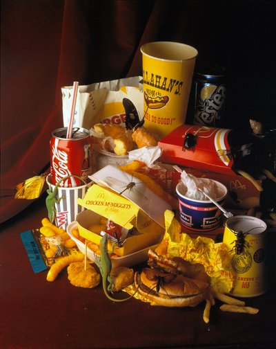 ナトゥーラ・デス2 作： Mat Collishaw