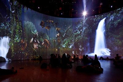 Sordid Earth, 2011 （ビデオインスタレーション、ハードドライブ、シリコン、スチール 作： マット・コリショー