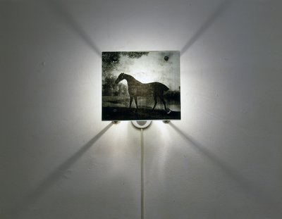 スタブスホース 作： Mat Collishaw