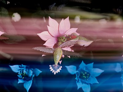 The Centrifugal Soul》2016年（アクリル、アルミニウム、スチール、LEDライト、モーター、電子回路、樹脂、塗料） 作： マット・コリショー