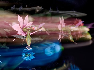 The Centrifugal Soul》2016年（アクリル、アルミニウム、スチール、LEDライト、モーター、電子回路、樹脂、塗料） 作： マット・コリショー