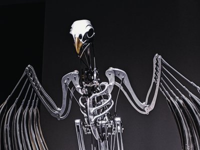 ナーヴラック、2019年（アセタール、アクリル、アルミニウム、真鍮、電気回路、塗装、PVC、樹脂、サーボモーター、スチール） 作： マット・コリショー