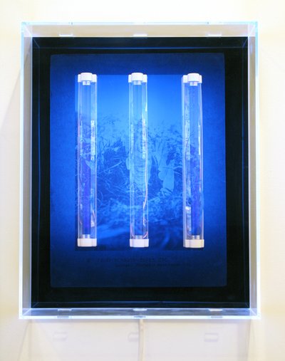 UV Garden, Fairy, Sunbath, Elves, Etc, 2008 （シルクスクリーン、アクリル、UVライト、照明器具） 作： マット・コリショー