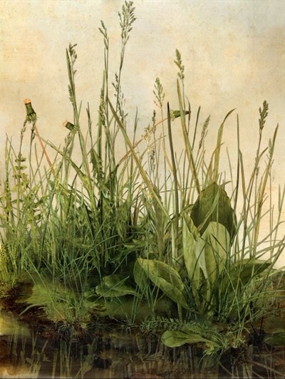 Whispering Weeds, 2011 （木製フレーム、ボーダー、LCDスクリーン、ファン、ハードディスクドライブ） 作： マット・コリショー
