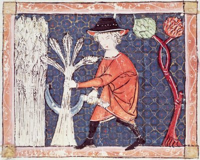 Fol.58v 7月：収穫 作： Matfre Ermengaut