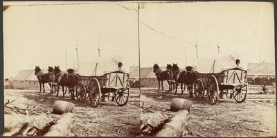  作： Mathew B. Brady