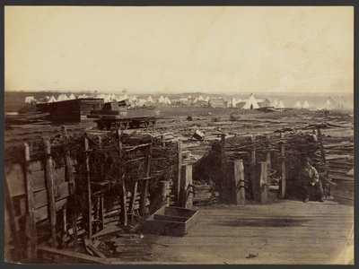 [第13マスに占領されたマナサス要塞。］ 作： Mathew B. Brady