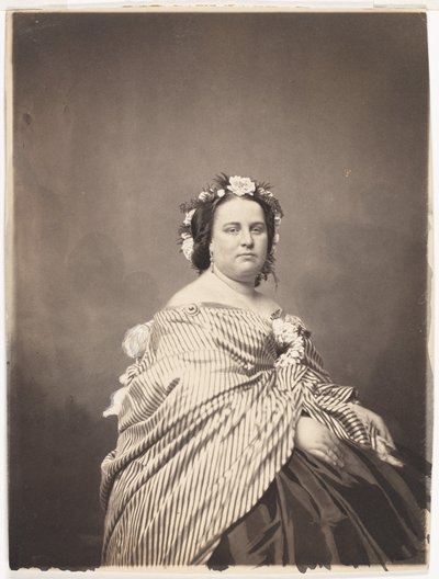 メドリ夫人 作： Mathew B. Brady