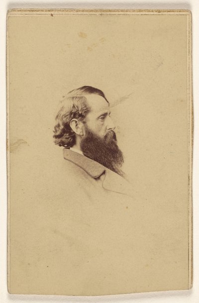 [Unidentified long bearded man in profile] 作： Mathew B. Brady