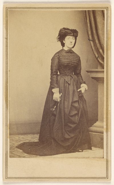  作： Mathew B. Brady