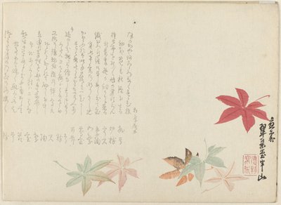イロハモミジ 作： Matsukawa Hanzan