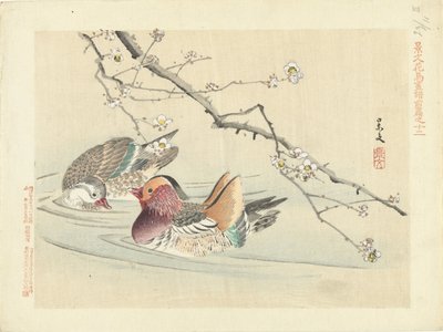 二羽のアヒル 景文の花鳥画 前編（連載タイトル） 景文課長画風全ペン 作： Matsumura Keibun