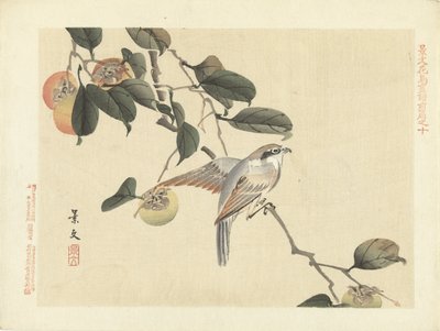 鳥と柿 景文の花鳥画 前編（連載タイトル） 景文課長画風全ペン 作： Matsumura Keibun
