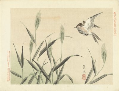 草の間を飛んでいる鳥 景文の花鳥スケッチ 前編（連載タイトル） 景文課長画風全ペン 作： Matsumura Keibun