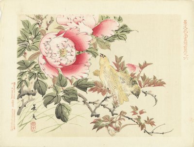 鳥と牡丹 景文の花鳥スケッチ 前編（連載タイトル） 景文課長画風全ペン 作： Matsumura Keibun