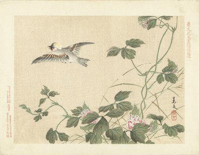 ピンクの花を持つつる性植物から飛び立つ鳥 景文の花鳥画 第三部（連載タイトル） 景文課長画風講変 作： Matsumura Keibun