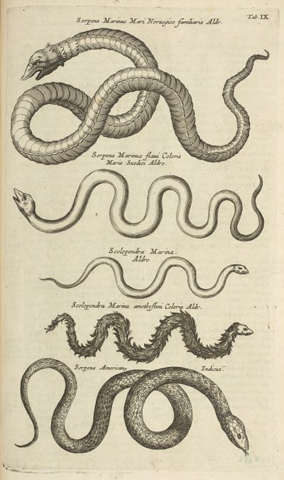 タブ IX、ウミヘビ、「四足動物の自然史」のイラスト 作： Mattaus the Younger Merian