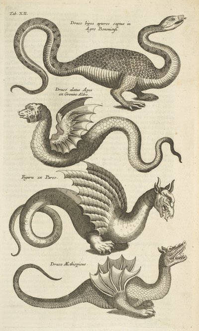 タブ XII、神話上の生き物、ドラゴン、「四足動物の自然史」のイラスト 作： Mattaus the Younger Merian
