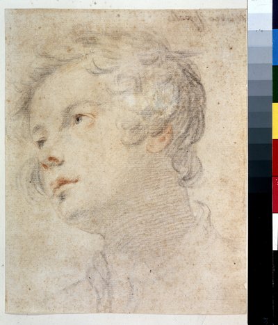 男の子の頭。 Matteo Rosselli (1578-1650) による絵画。 紙にチョークと赤チョーク 作： Matteo Rosselli