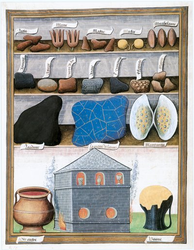  作： Matthaeus Platearius