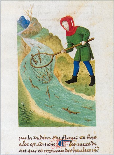  作： Matthaeus Platearius