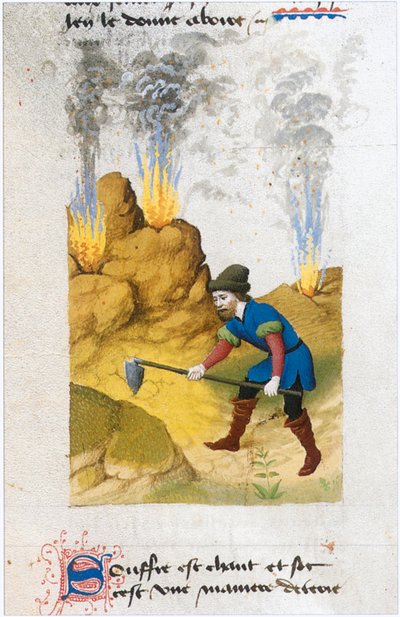  作： Matthaeus Platearius