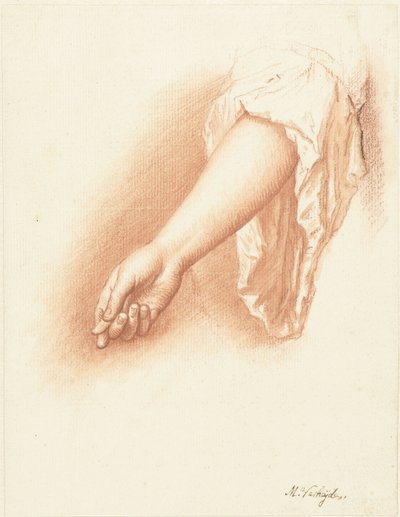 右腕の研究 作： Mattheus Verheyden