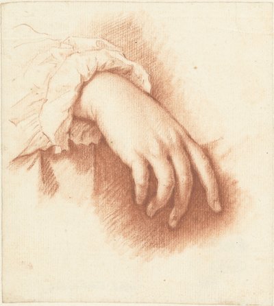 右手の研究 作： Mattheus Verheyden